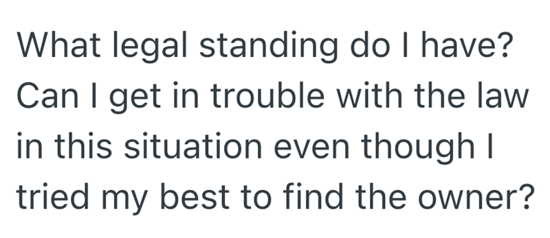 What legal standing do I have? Can I get in trouble with the law in this situation even though I tried my best to find the owner?