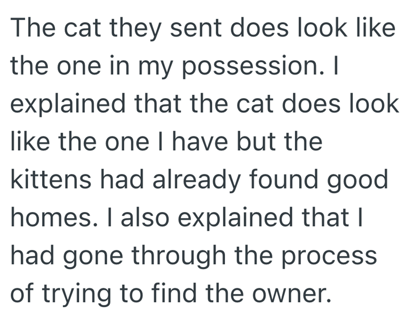 The cat they sent does look like the one in my possession. I explained that the cat does look like the one I have but the kittens had already found good homes. I also explained that I had gone through the process of trying to find the owner.
