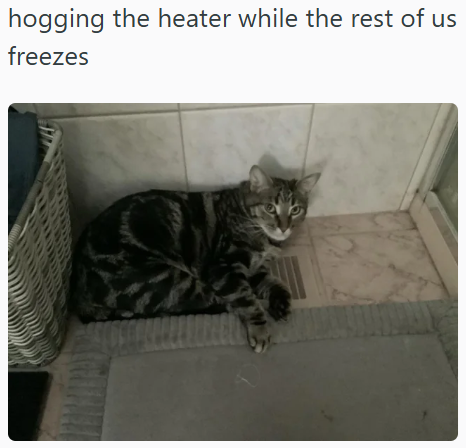 hogging the heater while the rest of us freezes