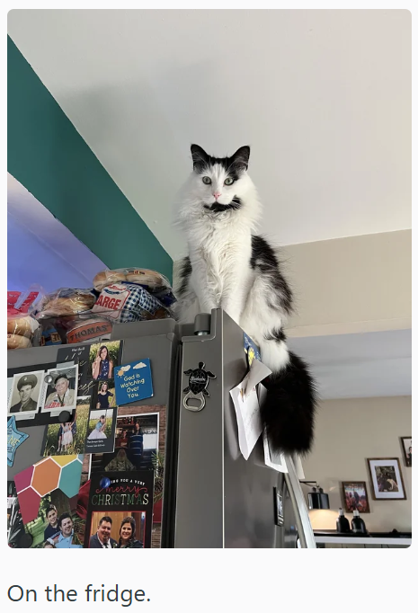 ARGE THOMAS God is Watching Over You CHRISTMAS On the fridge.