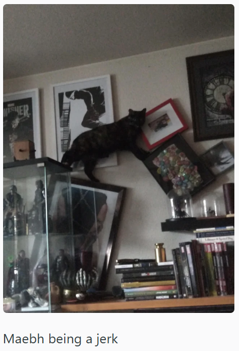 SHER Maebh being a jerk