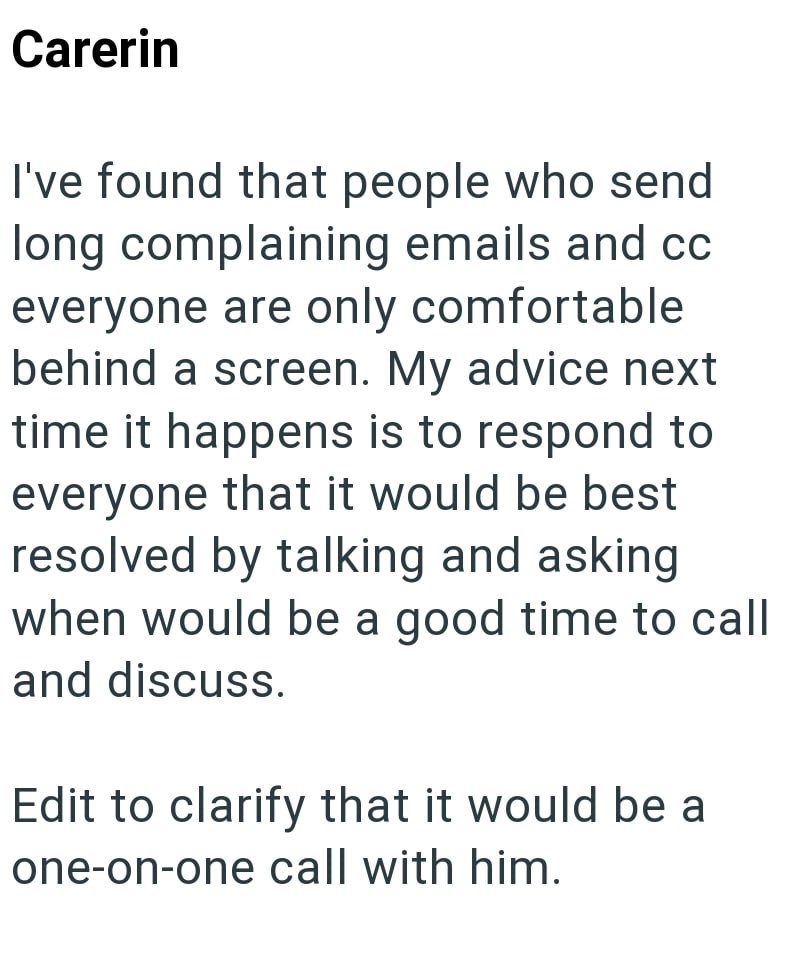 Carerin I've found that people who send long complaining emails and cc everyone are only comfortable behind a screen. My advice next time it happens is to respond to everyone that it would be best resolved by talking and asking when would be a good time to call and discuss. Edit to clarify that it would be a one-on-one call with him.
