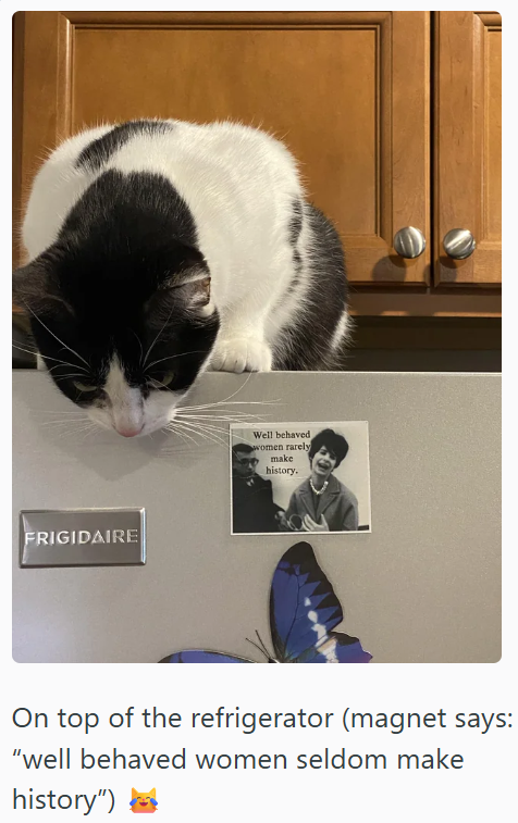 FRIGIDAIRE Well behaved women rarely make history. On top of the refrigerator (magnet says: "well behaved women seldom make history")