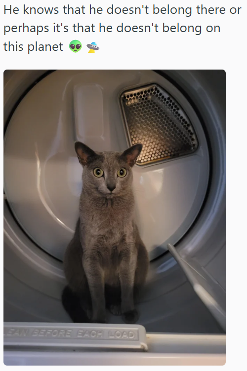 He knows that he doesn't belong there or perhaps it's that he doesn't belong on this planet EAN BEFORE EACH LOAD