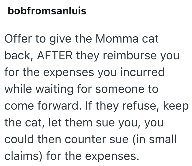 bobfromsanluis Offer to give the Momma cat back, AFTER they reimburse you for the expenses you incurred while waiting for someone to come forward. If they refuse, keep the cat, let them sue you, you could then counter sue (in small claims) for the expenses.