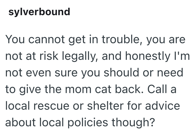 sylverbound You cannot get in trouble, you are not at risk legally, and honestly I'm not even sure you should or need to give the mom cat back. Call a local rescue or shelter for advice about local policies though?
