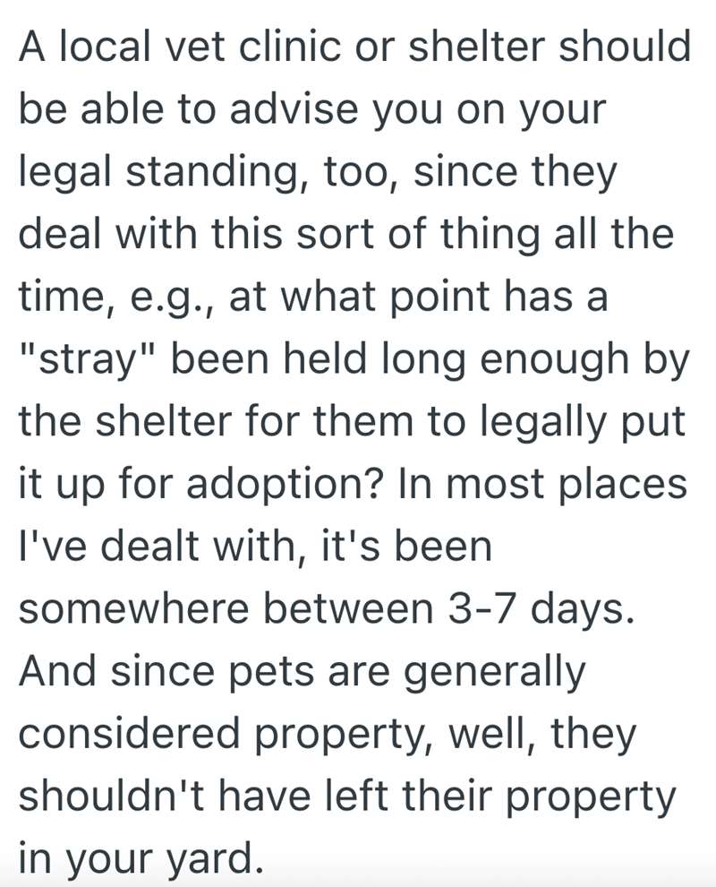 A local vet clinic or shelter should be able to advise you on your legal standing, too, since they deal with this sort of thing all the time, e.g., at what point has a "stray" been held long enough by the shelter for them to legally put it up for adoption? In most places I've dealt with, it's been somewhere between 3-7 days. And since pets are generally considered property, well, they shouldn't have left their property in your yard.