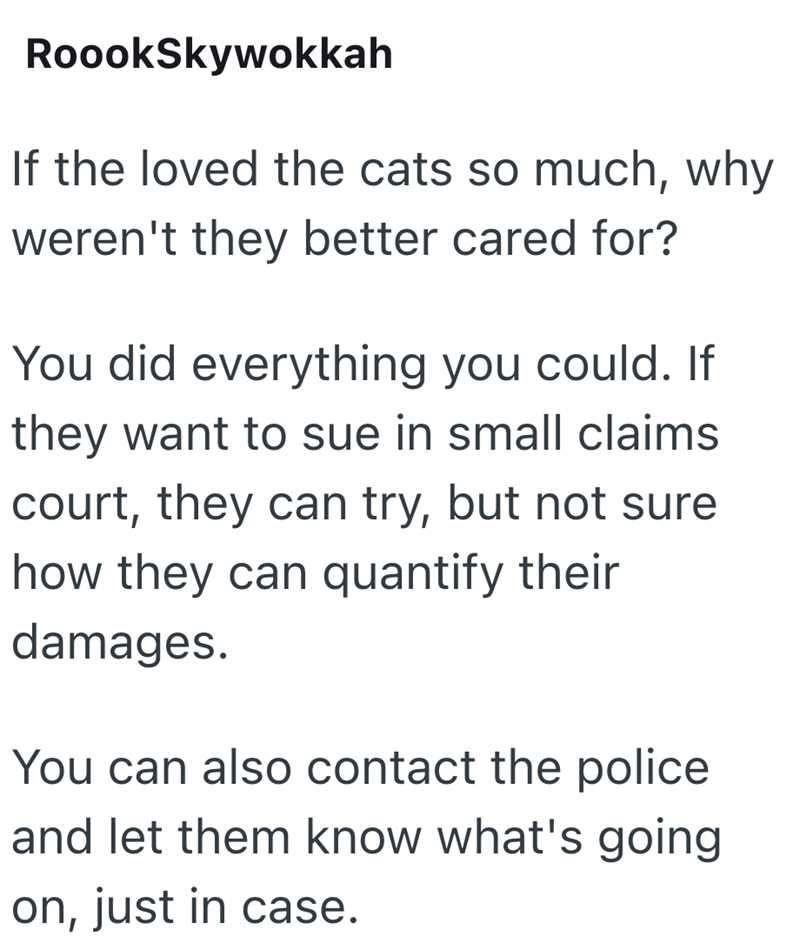 RoookSkywokkah If the loved the cats so much, why weren't they better cared for? You did everything you could. If they want to sue in small claims court, they can try, but not sure how they can quantify their damages. You can also contact the police and let them know what's going on, just in case.