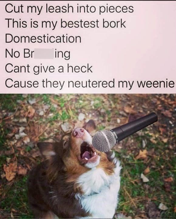 Cut my leash into pieces This is my bestest bork Domestication No Br ing Cant give a heck Cause they neutered my weenie