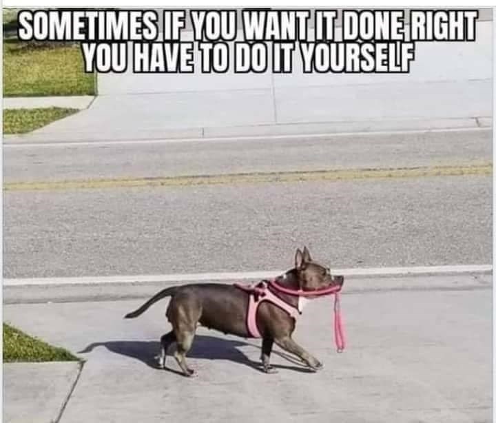 SOMETIMES IF YOU WANT IT DONE RIGHT YOU HAVE TO DO IT YOURSELF