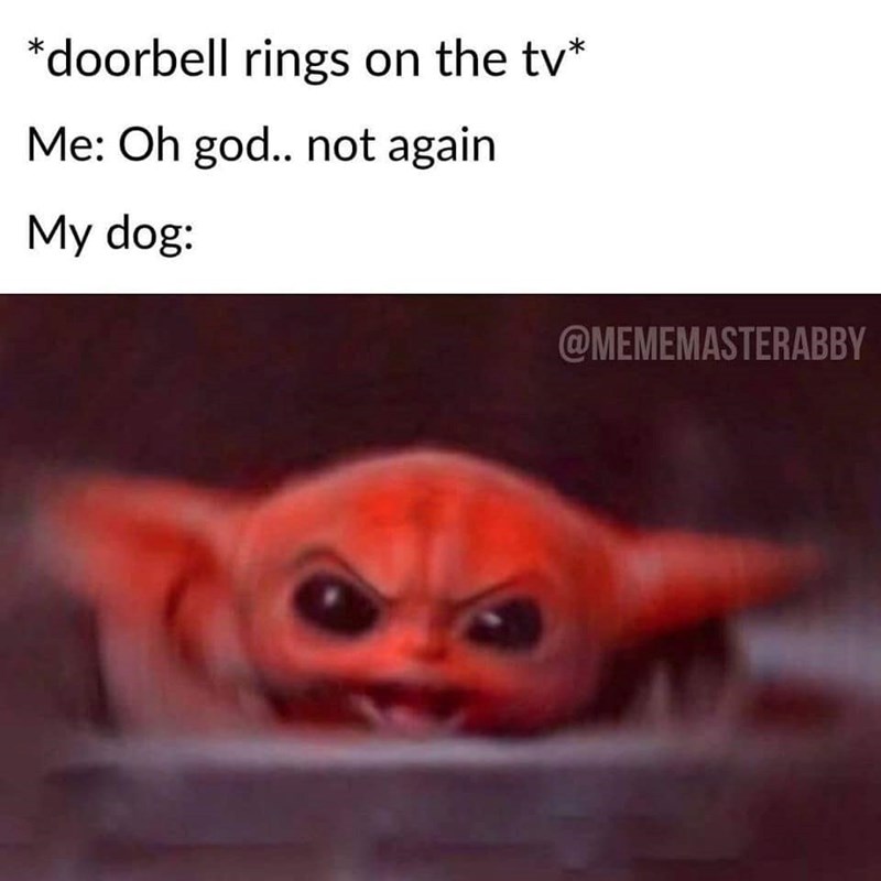 *doorbell rings on the tv* Me: Oh god.. not again My dog: @MEMEMASTERABBY