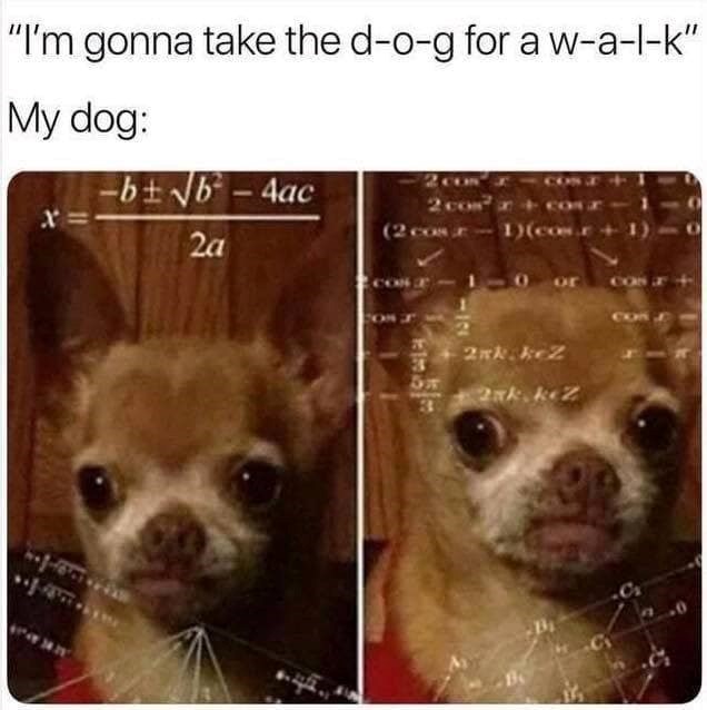 "I'm gonna take the d-o-g for a w-a-l-k" My dog: -b±√√b-4ac 2 co 2 com x= (2 cost 1)(cose + 1) 2a 2nk.keZ OF 2ak.kez 3 CA