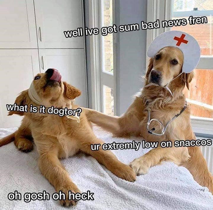 well ive got sum bad news fren what is it dogtor? ur extremly low on snaccos oh gosh oh heck