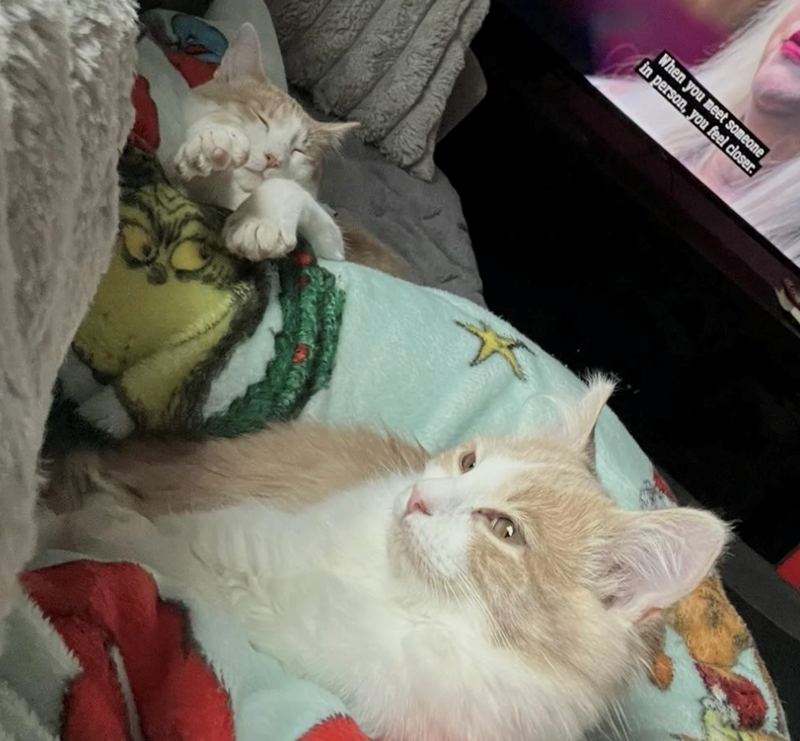 When you meet someone in person, you feel closer