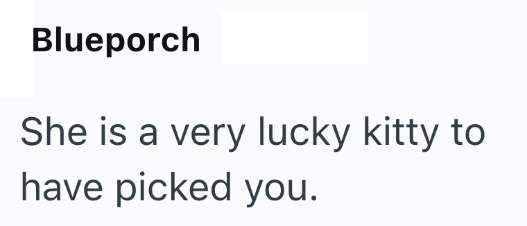 Blueporch She is a very lucky kitty to have picked you.