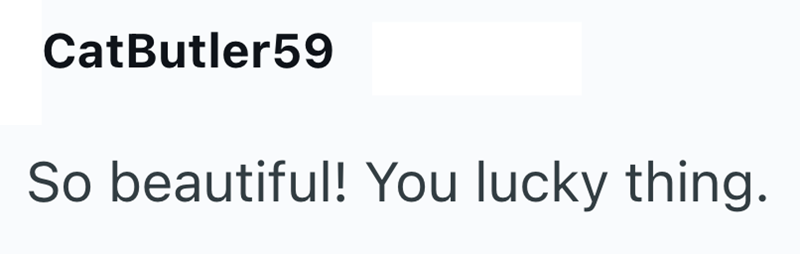 CatButler 59 So beautiful! You lucky thing.