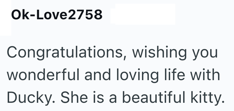 Ok-Love2758 Congratulations, wishing you wonderful and loving life with Ducky. She is a beautiful kitty.