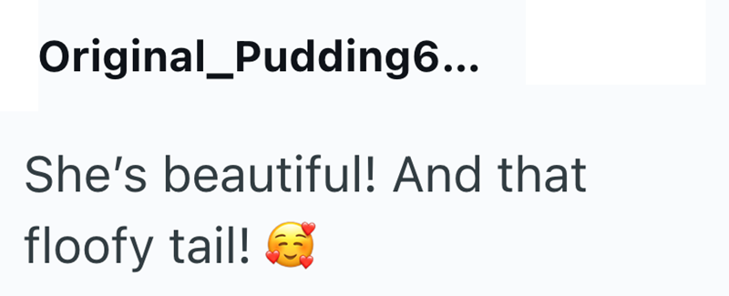 Original_Pudding6... She's beautiful! And that floofy tail! ✔