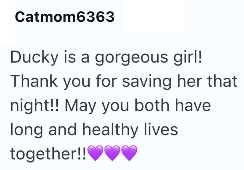 Catmom6363 Ducky is a gorgeous girl! Thank you for saving her that night!! May you both have long and healthy lives together!!♥