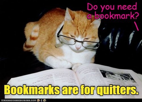 Cheezburger Image 10615379968