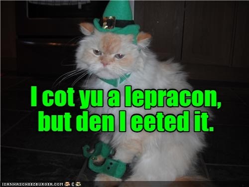 Cheezburger Image 10615380224