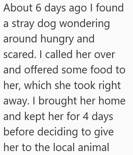 About 6 days ago I found a stray dog wondering around hungry and scared. I called her over and offered some food to her, which she took right away. I brought her home and kept her for 4 days before deciding to give her to the local animal