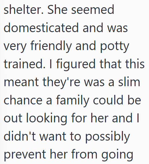 shelter. She seemed domesticated and was very friendly and potty trained. I figured that this meant they're was a slim chance a family could be out looking for her and I didn't want to possibly prevent her from going