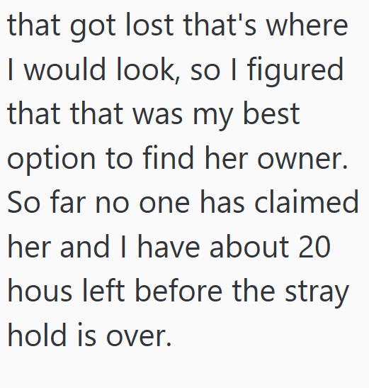 that got lost that's where I would look, so I figured that that was my best option to find her owner. So far no one has claimed her and I have about 20 hous left before the stray hold is over.