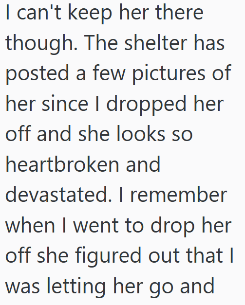 I can't keep her there though. The shelter has posted a few pictures of her since I dropped her off and she looks so heartbroken and devastated. I remember when I went to drop her off she figured out that I was letting her go and