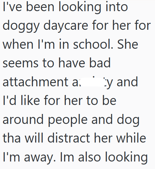 I've been looking into doggy daycare for her for when I'm in school. She seems to have bad attachment a. y and I'd like for her to be around people and dog tha will distract her while I'm away. Im also looking
