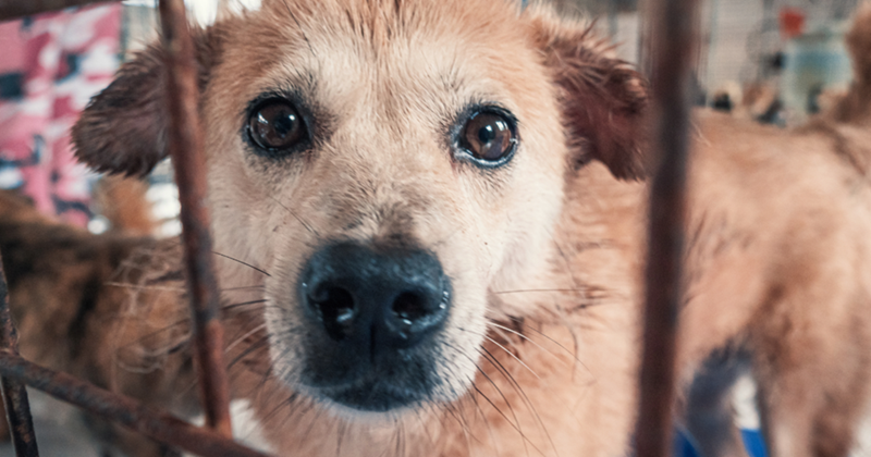 Cheezburger Image 10615385600