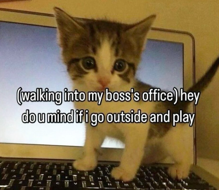 (walking into my boss's office) hey do u mind if i go outside and play
