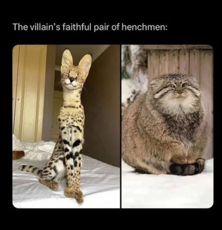 The villain's faithful pair of henchmen: