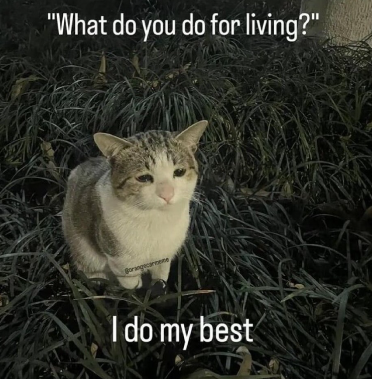 "What do you do for living?" Borangecarmeme I do my best