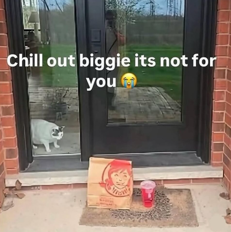 Chill out biggie its not for you