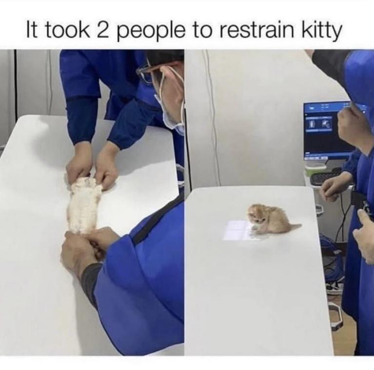 It took 2 people to restrain kitty