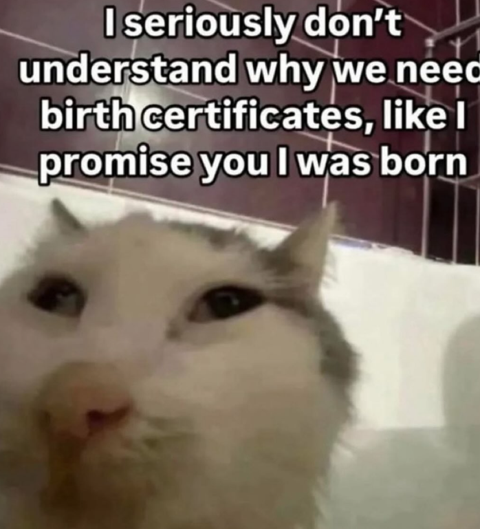 I seriously don't understand why we neec birth certificates, like I promise you I was born