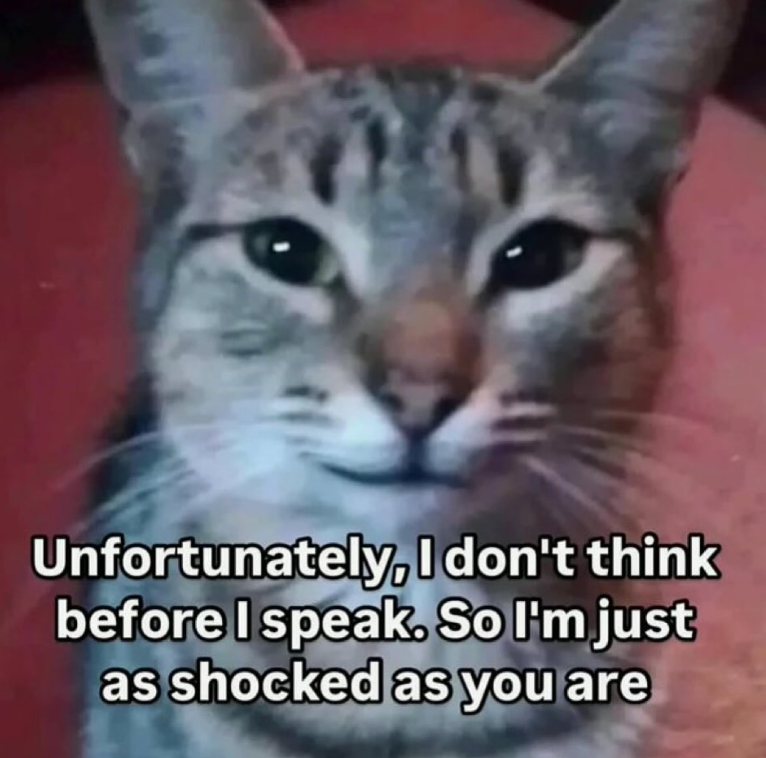 Unfortunately, I don't think before I speak. So I'm just as shocked as you are