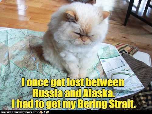 Cheezburger Image 10615392768