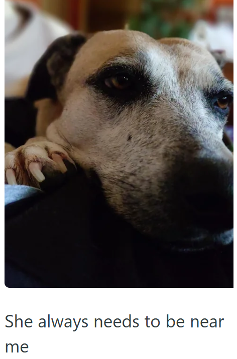 She always needs to be near me