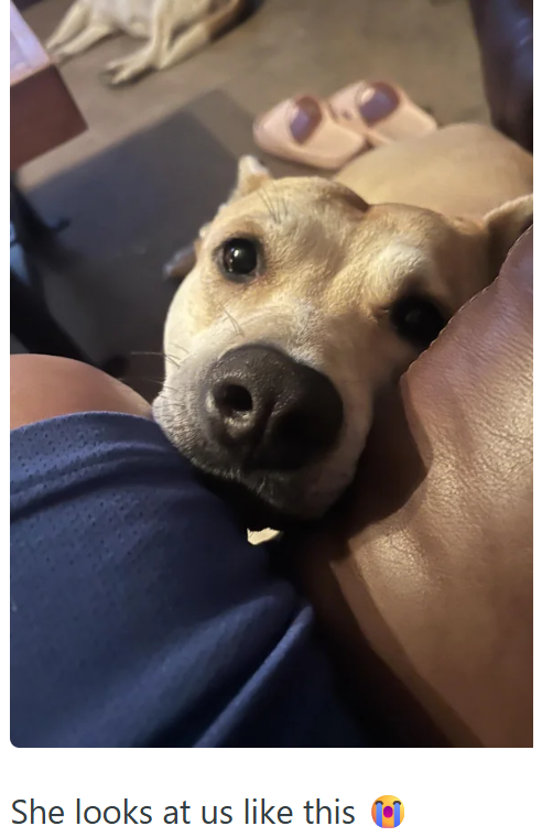 She looks at us like this