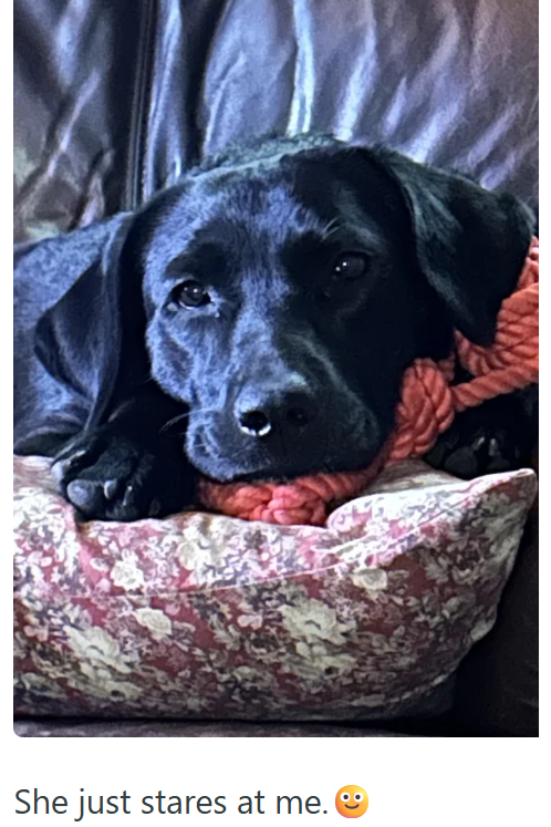 She just stares at me.