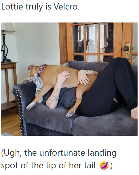 Lottie truly is Velcro. (Ugh, the unfortunate landing spot of the tip of her tail