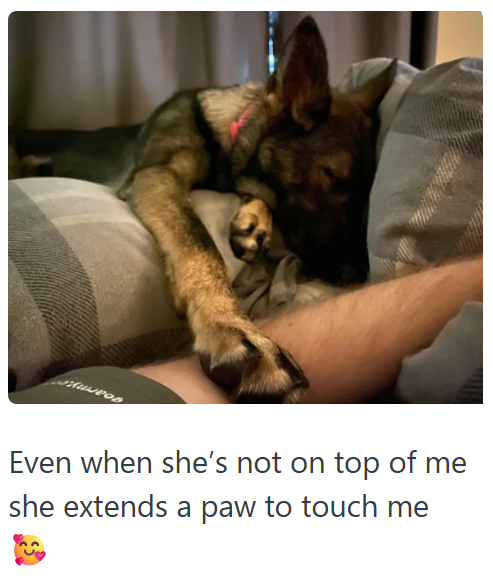 Even when she's not on top of me she extends a paw to touch me