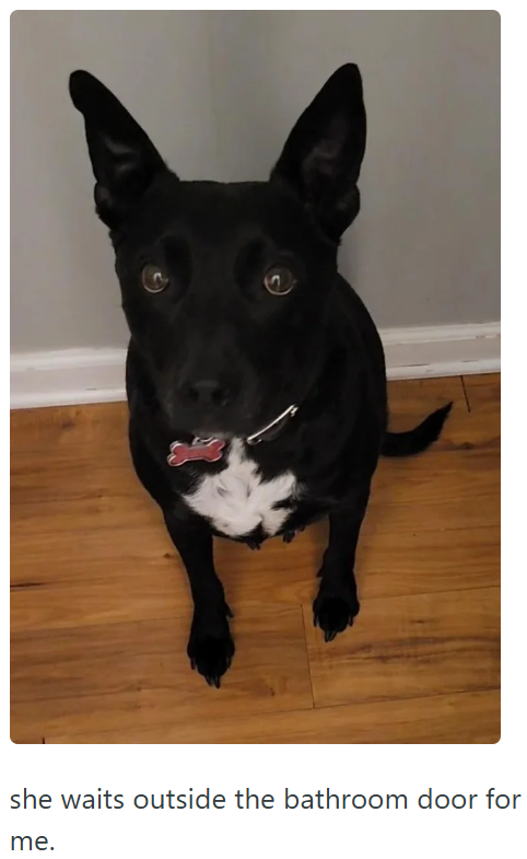 she waits outside the bathroom door for me.