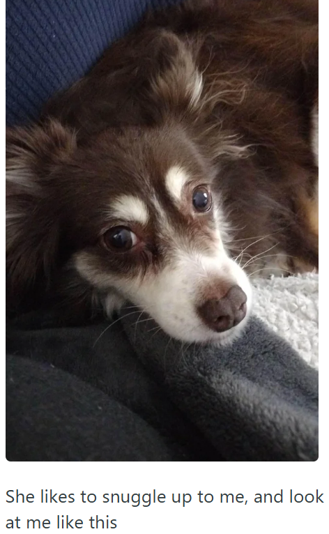 She likes to snuggle up to me, and look at me like this