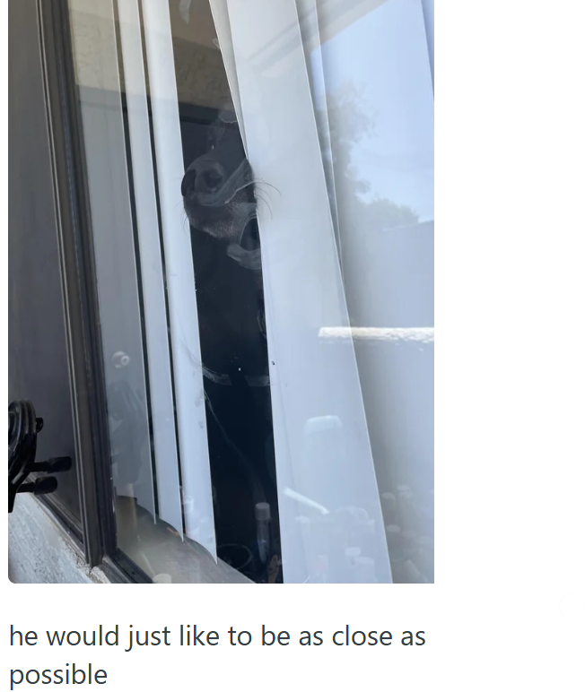 he would just like to be as close as possible