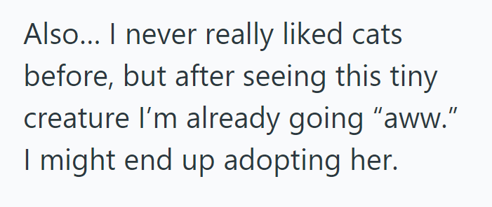 Also... I never really liked cats before, but after seeing this tiny creature I'm already going "aww." I might end up adopting her.