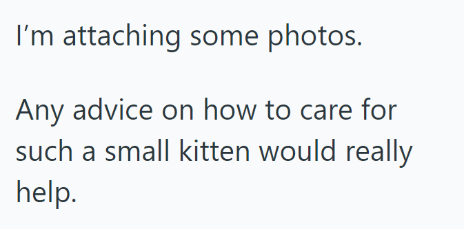 I'm attaching some photos. Any advice on how to care for such a small kitten would really help.