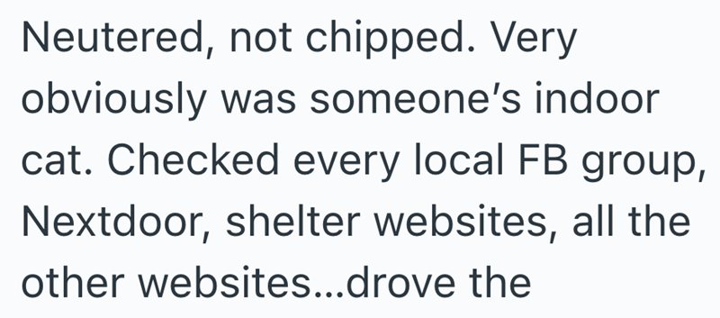 Neutered, not chipped. Very obviously was someone's indoor cat. Checked every local FB group, Nextdoor, shelter websites, all the other websites...drove the